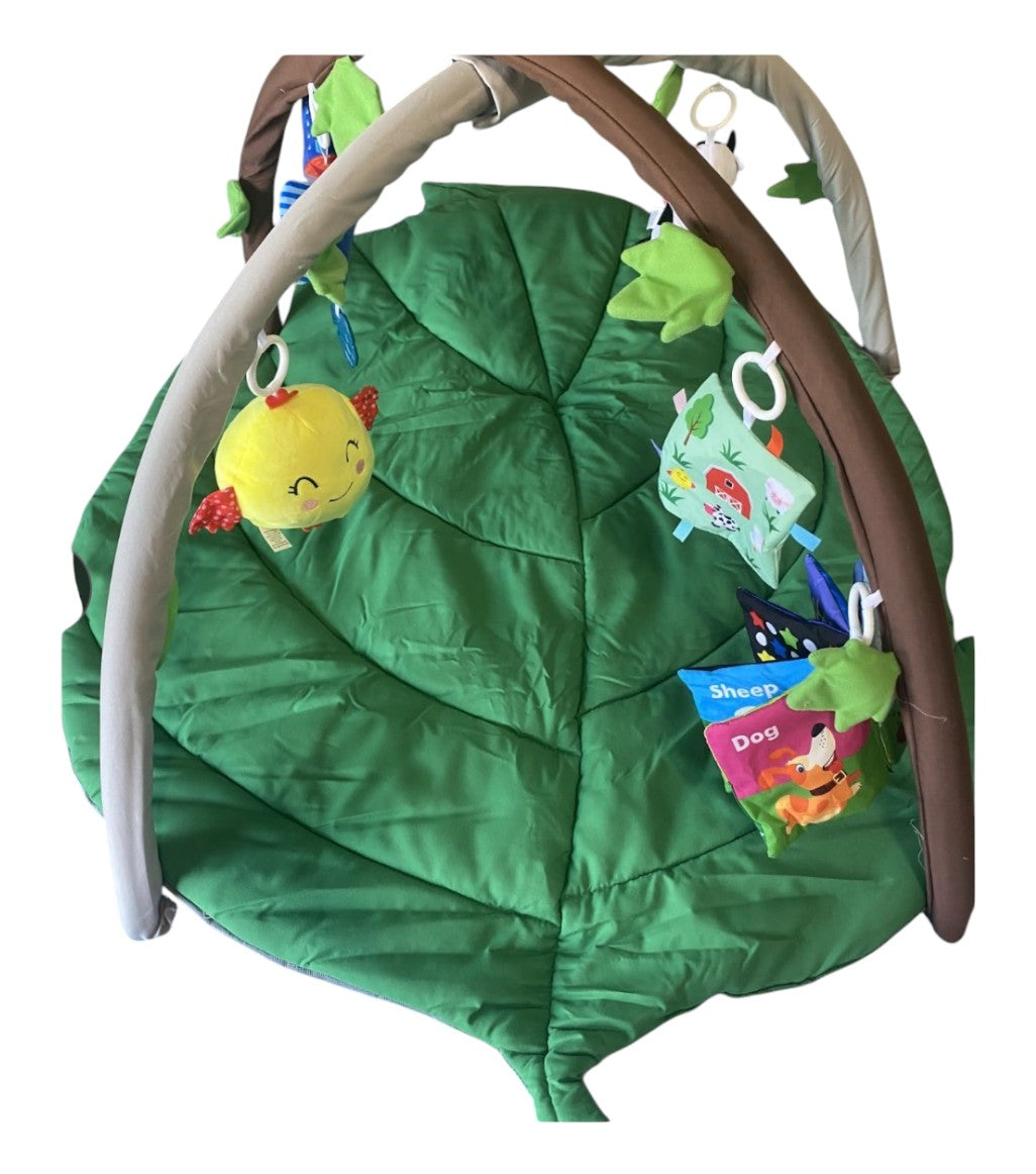 Baby Play Mat and Baby Gym