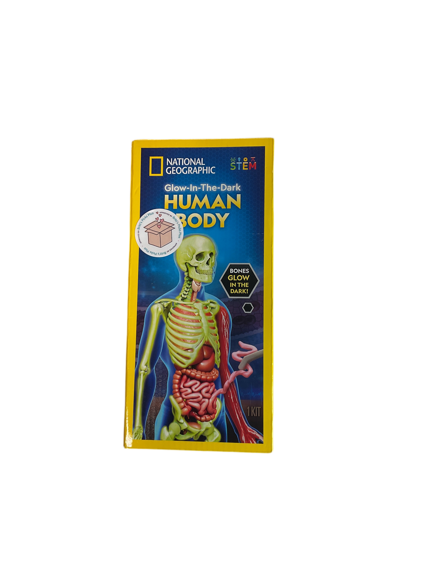 National Geographic Human Body Model for Kids That Glows in The Dark - 32-Piece Interactive Anatomy Model with Bones, Organs, Muscles, Science Kit Stocking Stuffer, Anatomy & Physiology Study Tools