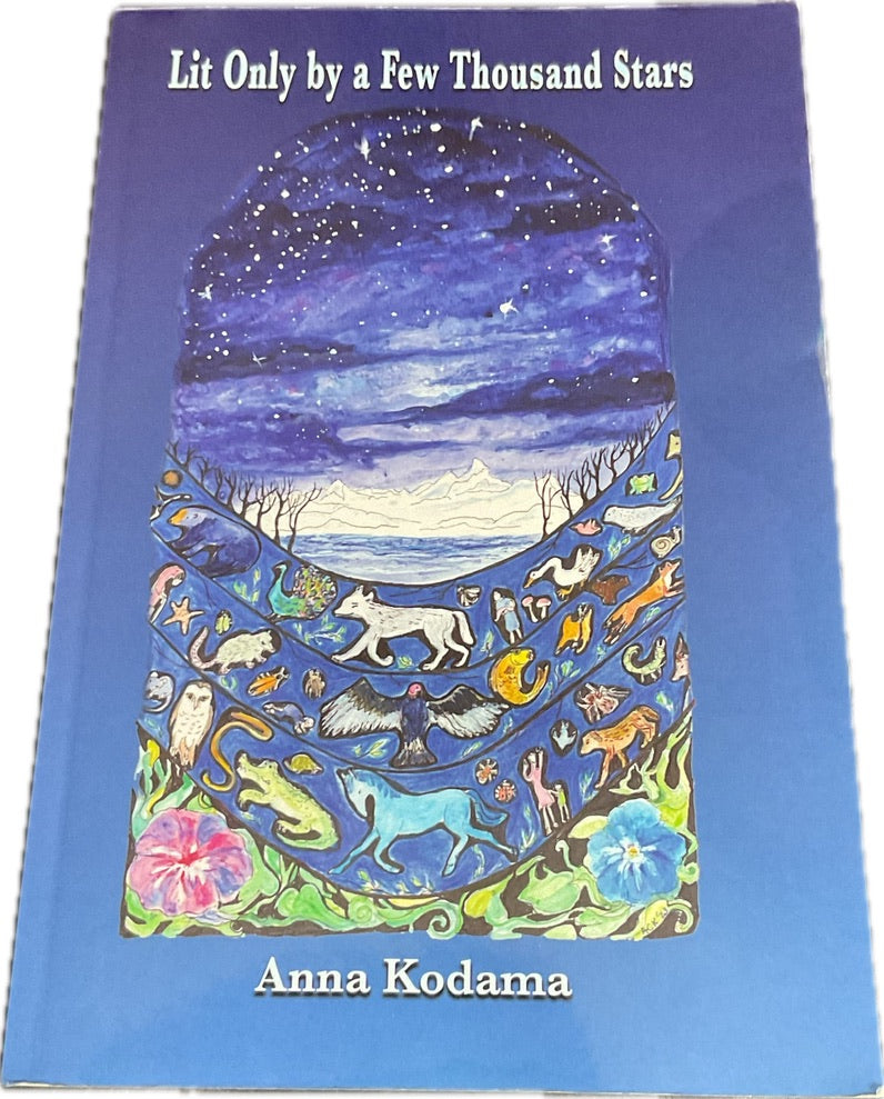 Lit Only by a Few Thousand Stars