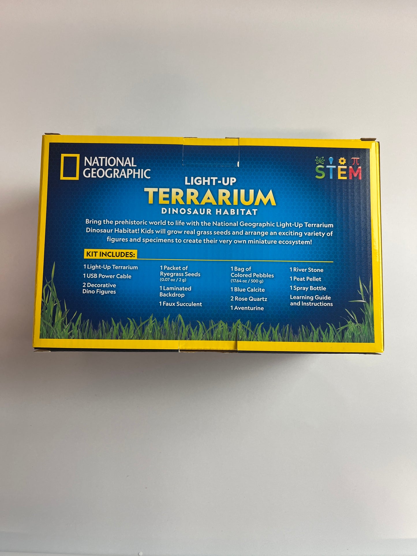 National Geographic Dinosaur Terrarium Kit