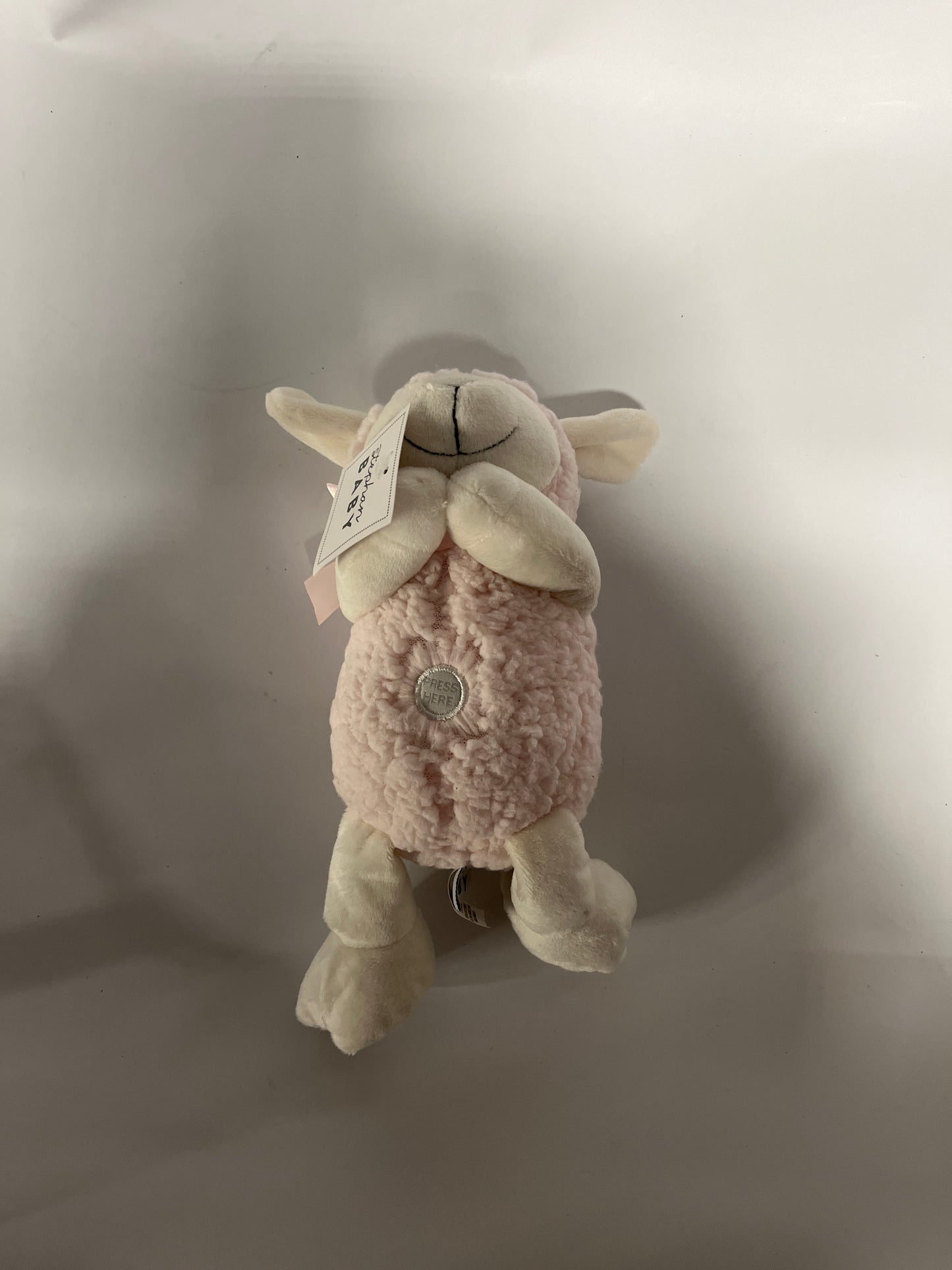 Praying Lamb