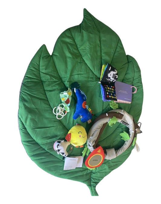 Baby Play Mat and Baby Gym