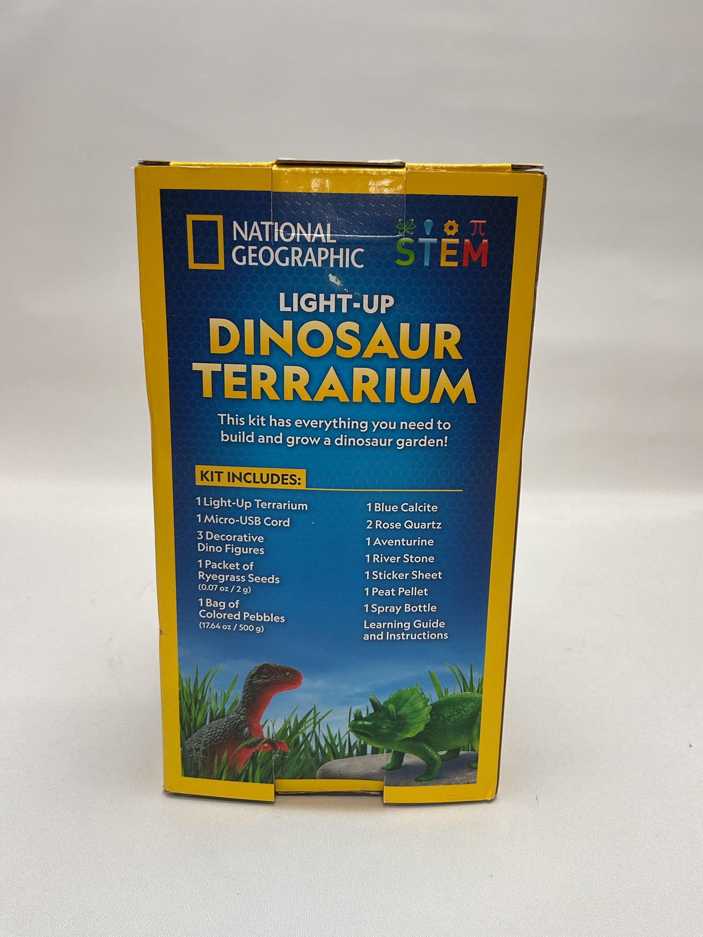 National Geographic Light Up Dinosaur Terrarium Kit